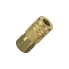 Brass Coupler - C20B